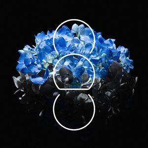 黄色浏览网站freechinese
