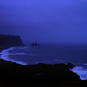 黄色浏览网站freechinese
